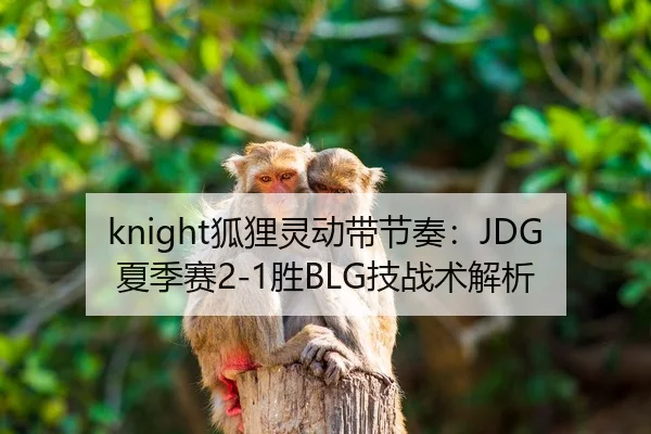 knight狐狸灵动带节奏：JDG夏季赛2-1胜BLG技战术解析