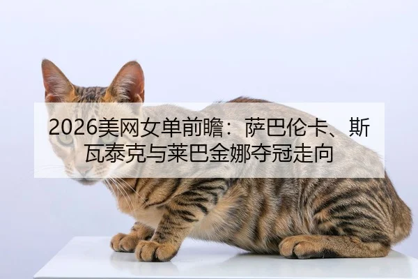 mei-wang-nv-dan-qian-zhan-sa-ba-lun-ka-si-wa-tai-ke-yu-lai-ba-jin-na-duo-guan-zou-xiang-2-421.jpg