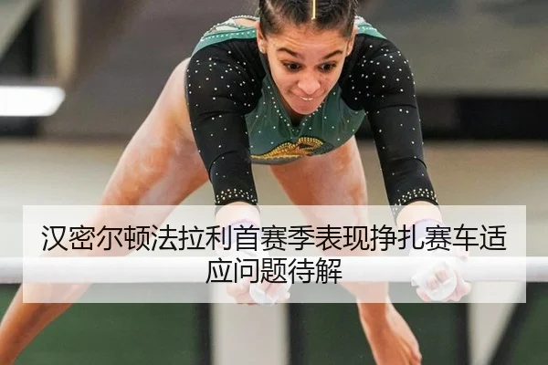 han-mi-er-dun-fa-la-li-shou-sai-ji-biao-xian-zheng-zha-sai-che-shi-ying-wen-ti-dai-jie-2-360.jpg