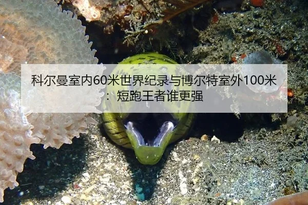 ke-er-man-shi-nei-mi-shi-jie-ji-lu-yu-bo-er-te-shi-wai-mi-duan-pao-wang-zhe-shui-geng-qiang-2-537.jpg