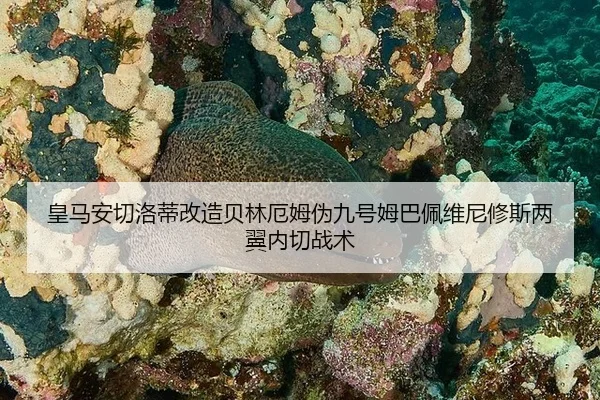 huang-ma-an-qie-luo-di-gai-zao-bei-lin-e-mu-wei-jiu-hao-mu-ba-pei-wei-ni-xiu-si-liang-yi-nei-qie-zhan-shu-2-933.jpg