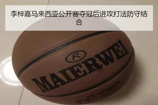 李梓嘉马来西亚公开赛夺冠后进攻打法防守结合