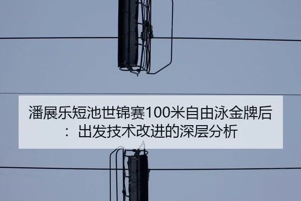 潘展乐短池世锦赛100米自由泳金牌后：出发技术改进的深层分析